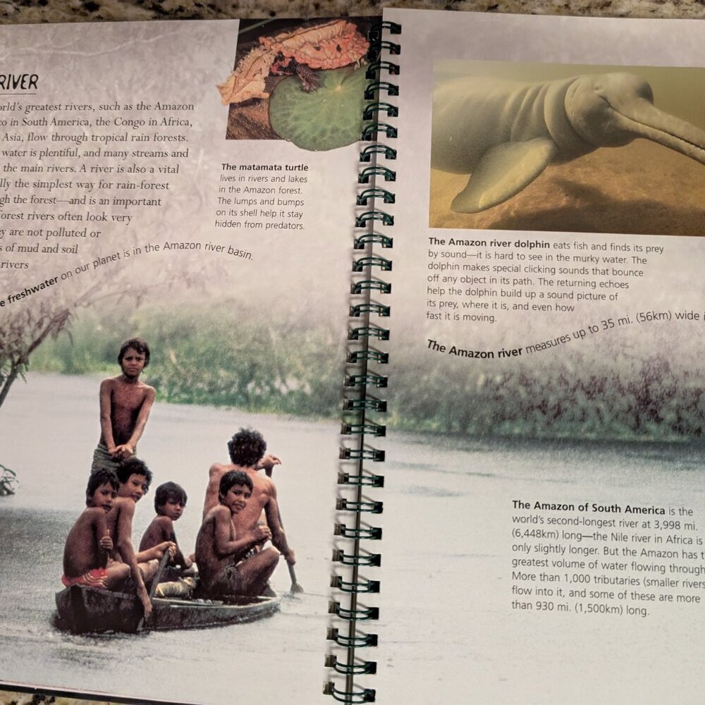 Kingfisher Voyages: Rain Forest By Jinny Johnson Nature Science Kids Learning - Picture 3 of 4